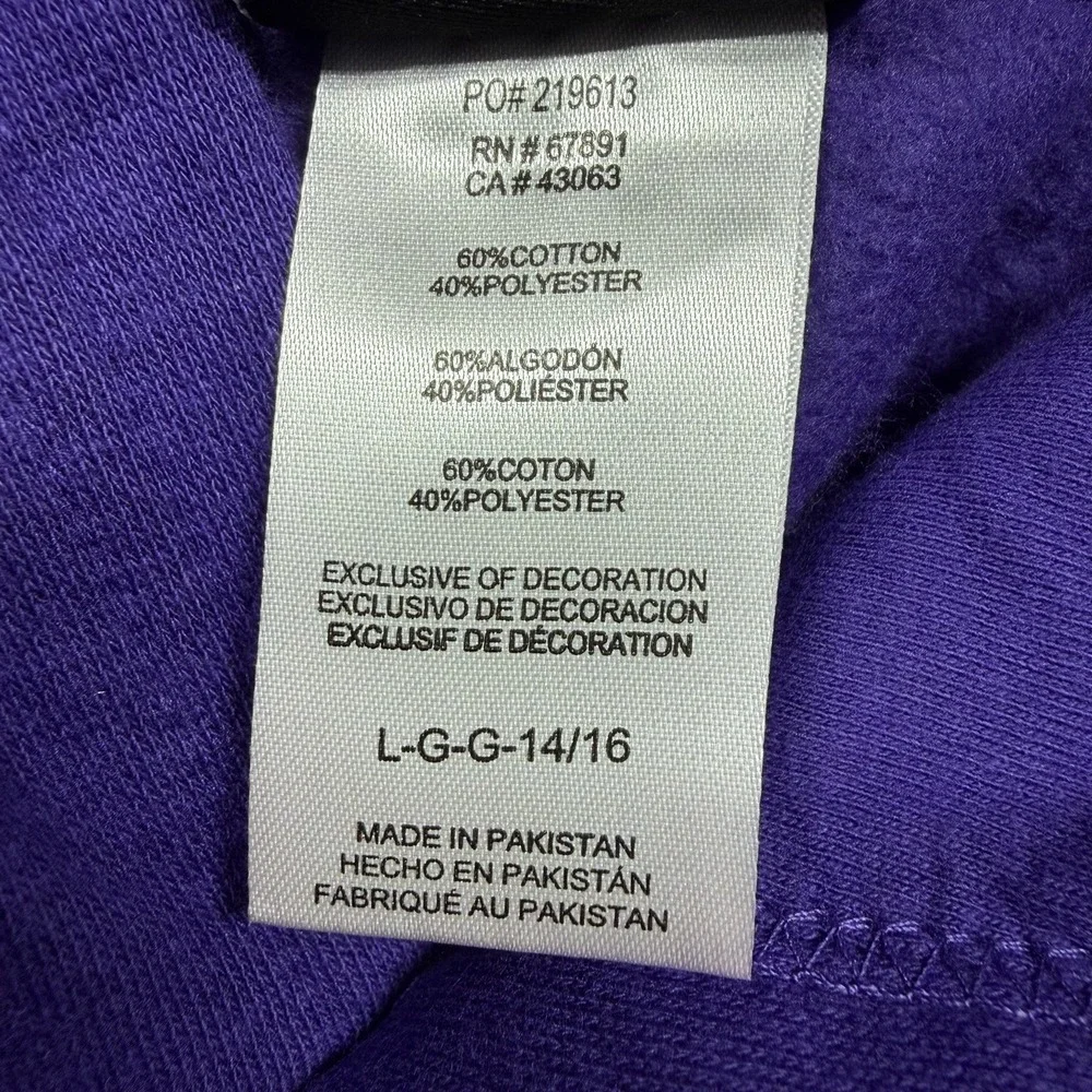Minnesota Vikings NFL Apparel Youth Large (14/16) Back to Basics‎ Purple Hoodie
